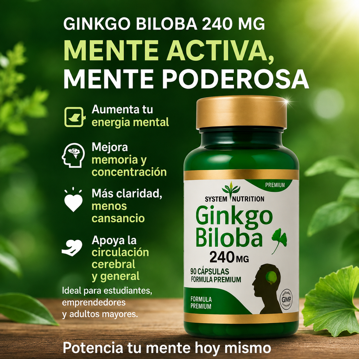 Ginkgo Biloba Premium